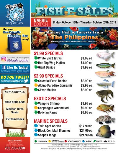 Big Al's Pets
